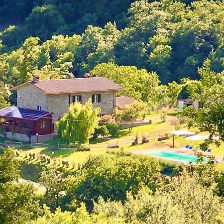 Villa Agriturismo Vista Sole à Mercatale  Extérieur photo