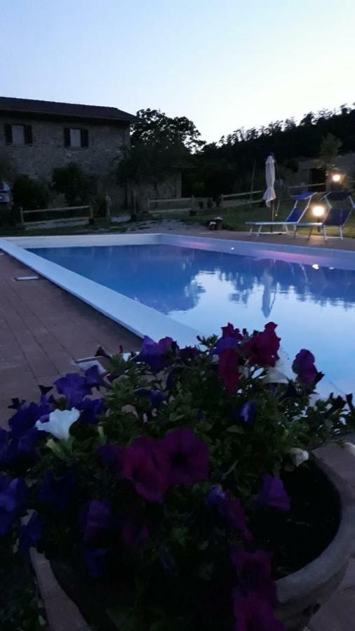 Villa Agriturismo Vista Sole à Mercatale  Extérieur photo