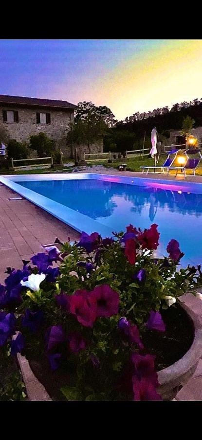 Villa Agriturismo Vista Sole à Mercatale  Extérieur photo