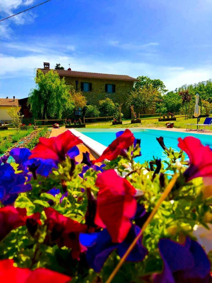 Villa Agriturismo Vista Sole à Mercatale  Extérieur photo
